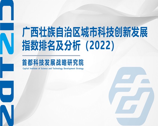 日本美女肏屄视频【成果发布】广西壮族自治区城市科技创新发展指数排名及分析（2022）